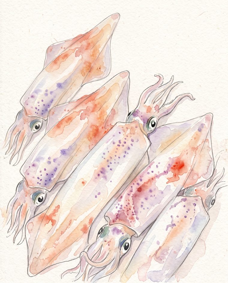 手釣小管