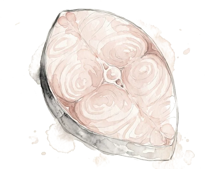 土魠